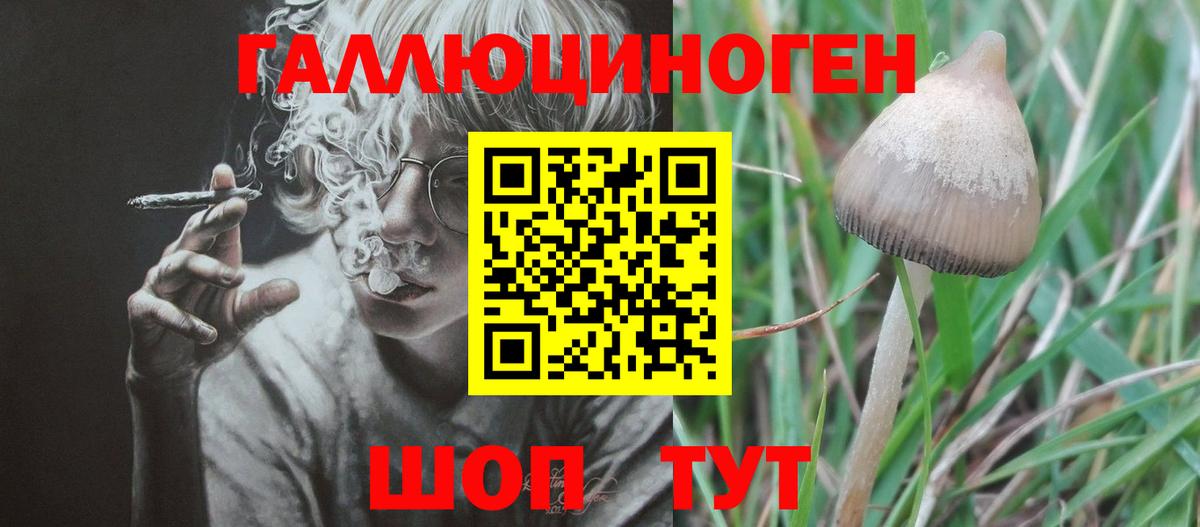 Галлюциногенные грибы Cubensis  Галлюциногенные грибы Psilocybe  Краснотурьинск  Вход с VPN 